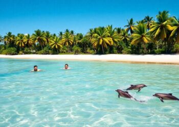 kann-man-in-brasilien-mit-delfinen-schwimmen