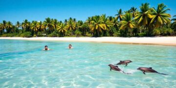 kann-man-in-brasilien-mit-delfinen-schwimmen