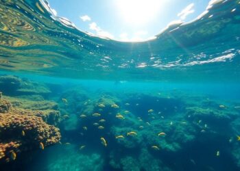 was-sind-die-schonsten-tauchziele-in-brasilien